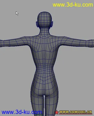 3D打印模型女性建模人体布线的图片