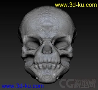 3D打印模型骷髅王子的图片