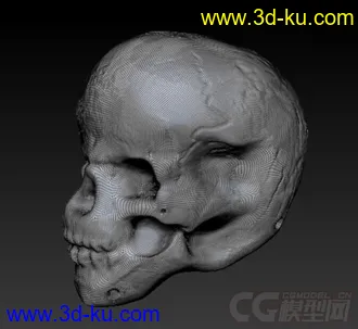 3D打印模型骷髅王子的图片