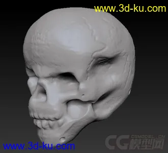 3D打印模型骷髅王子的图片
