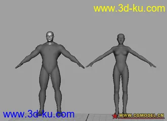 适于学习一个男人一个女人的模型的图片