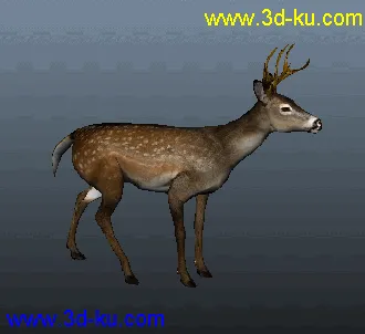 3D打印模型写实小鹿和霸王龙，自己做的绑定与动画的图片