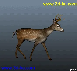 3D打印模型写实小鹿和霸王龙，自己做的绑定与动画的图片