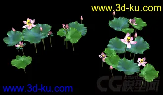 3D打印模型古代仙侠游戏池塘荷花的图片