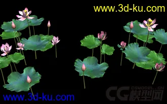 3D打印模型古代仙侠游戏池塘荷花的图片