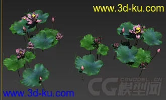 3D打印模型古代仙侠游戏池塘荷花的图片