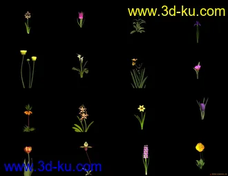 3D打印模型分享偶收藏的一些花草的图片