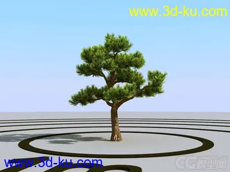 3D打印模型造型松，油松的图片
