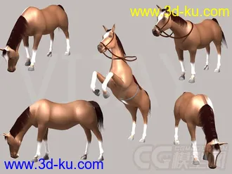 马 maya模型的图片