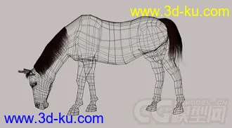 马 maya模型的图片