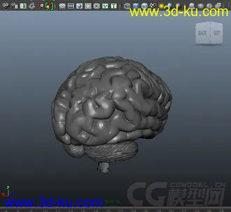 3D打印模型恶心的脑浆的图片