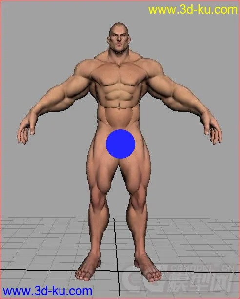 强壮的男人人体模型的图片1