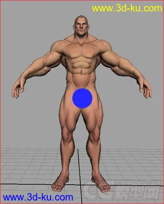 3D打印模型强壮的男人人体的图片