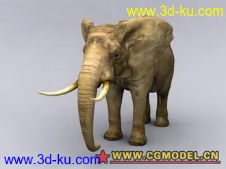 大象的模型的图片