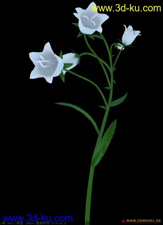 3D打印模型兰花-不知道有没有人发过呢的图片