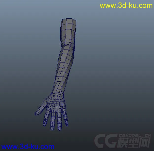 人物手臂模型的图片1