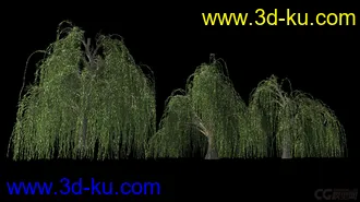 3D打印模型影视级植物，有贴图，maya2014的图片