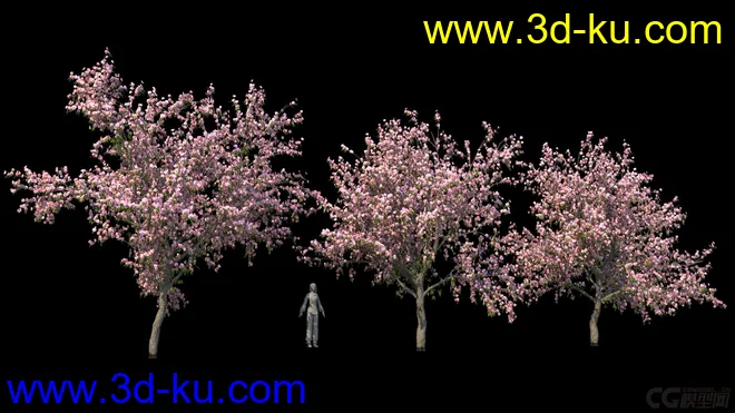 影视级植物，有贴图，maya2014模型的图片2