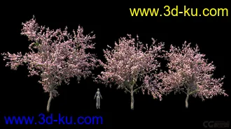 3D打印模型影视级植物，有贴图，maya2014的图片