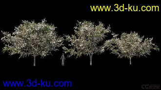 3D打印模型影视级植物，有贴图，maya2014的图片