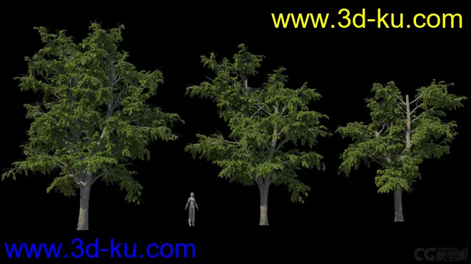 影视级植物，有贴图，maya2014模型的图片4