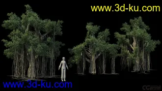 3D打印模型影视级植物，有贴图，maya2014的图片