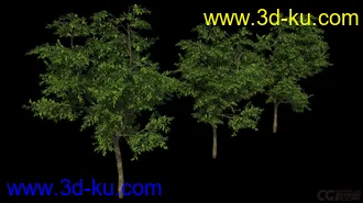 3D打印模型影视级植物，有贴图，maya2014的图片