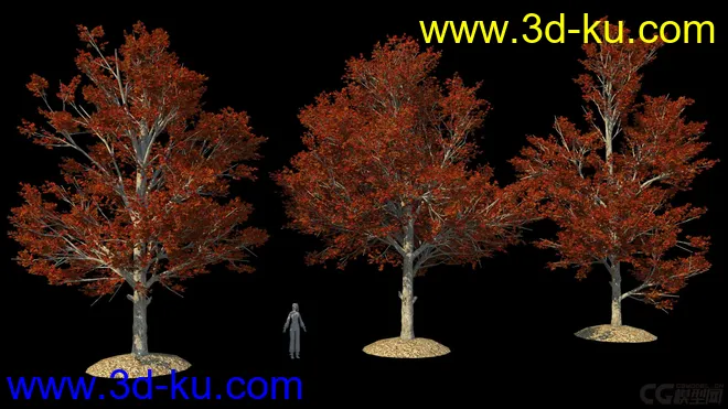 影视级植物，有贴图，maya2014模型的图片8