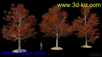 3D打印模型影视级植物，有贴图，maya2014的图片