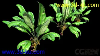 3D打印模型影视级植物，有贴图，maya2014的图片