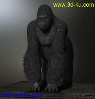 King Kong，金刚猩猩模型，fbx格式的图片