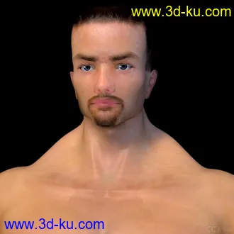 3D打印模型半身的图片