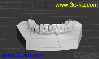 3D打印模型牙齿石膏模的图片