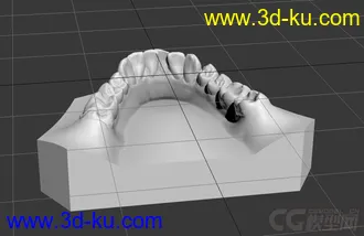 3D打印模型牙齿石膏模的图片