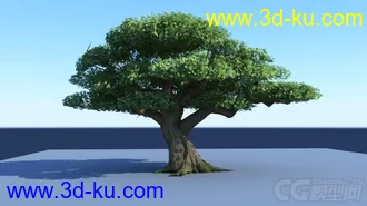 3D打印模型影视级别树的图片