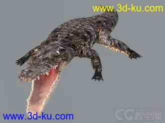 3D打印模型写实鳄鱼的图片