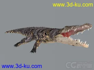 3D打印模型写实鳄鱼的图片