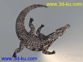 3D打印模型写实鳄鱼的图片