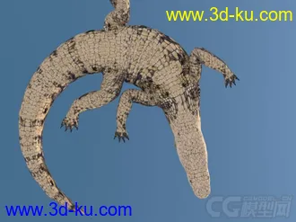 3D打印模型写实鳄鱼的图片