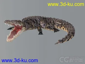 3D打印模型写实鳄鱼的图片