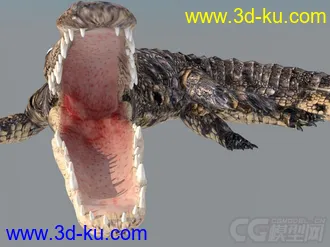 3D打印模型写实鳄鱼的图片