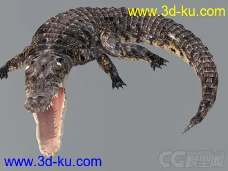 3D打印模型写实鳄鱼的图片