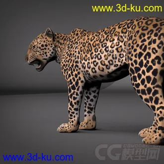 影视级绑定；豹，不一样的美洲豹，猎豹；贴图纹理都在4000点以上，模型细致，的图片