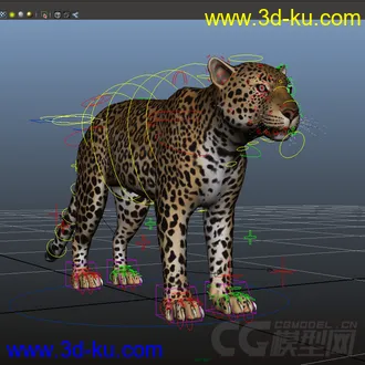 影视级绑定；豹，不一样的美洲豹，猎豹；贴图纹理都在4000点以上，模型细致，的图片