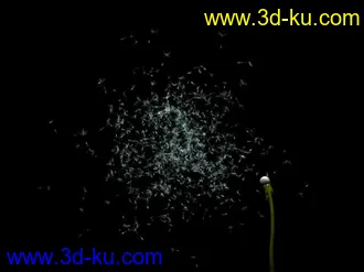 3D打印模型风吹蒲公英的图片
