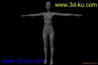 标准 初学者女模型的图片