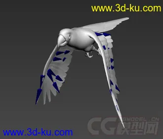 鹦鹉模型的图片