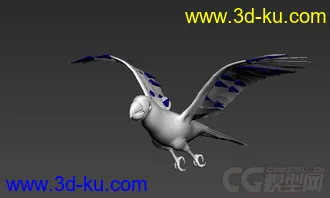 鹦鹉模型的图片