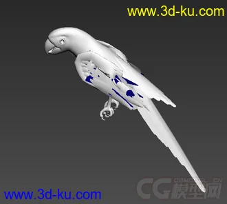 鹦鹉模型的图片