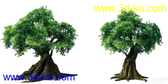 3D打印模型一个角度的一棵树的图片